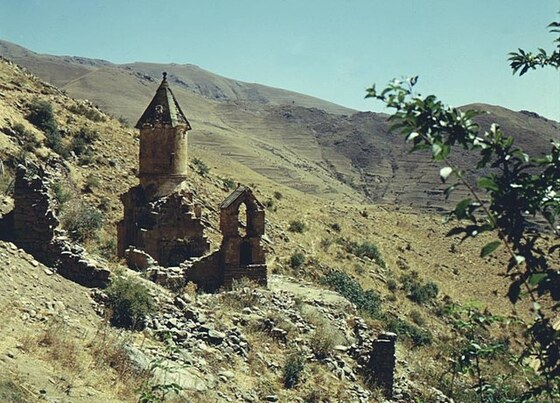 Spitakavor