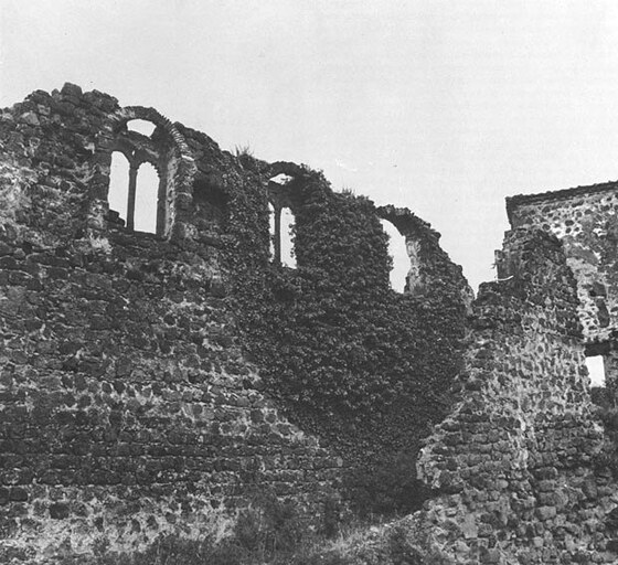 Rovine del palazzo