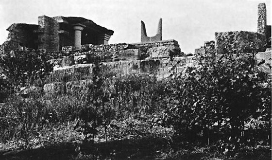 Palazzo