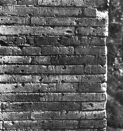 Muro