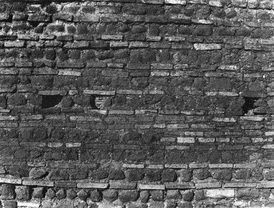 Muro