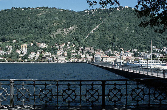 Villa Olmo