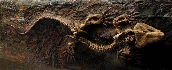 Limnoscelis palustris, Permian, United States