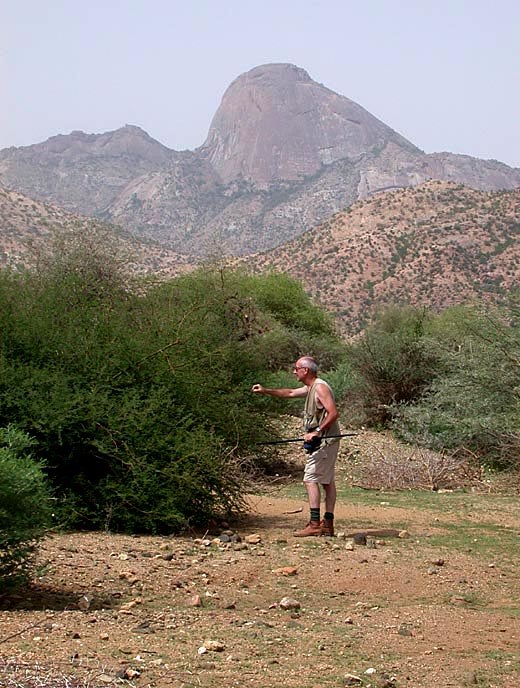 Hunting of an entomologist - La caccia di un entomologo