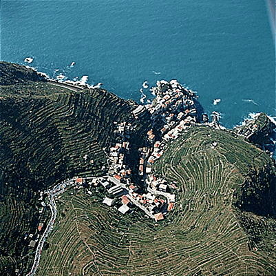 Cinque Terre, vigneti — Riomaggiore, Liguria