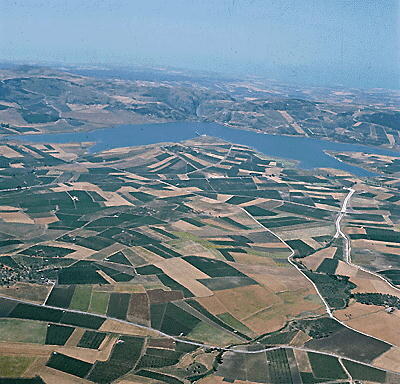 Panorama, coltivazioni — Lago Arancio, Sicilia