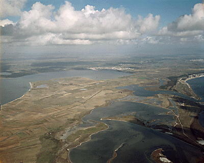 Stagno di Cabras, Stagno di Mistras, colture, Campidano — Cabras, Sardegna