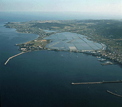 Isola di San Pietro, porto, saline — Carloforte, Sardegna