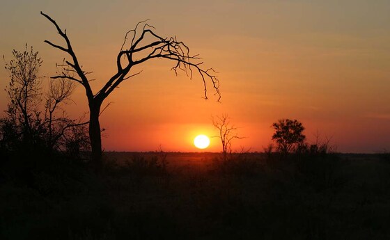Moremi Game Reserve