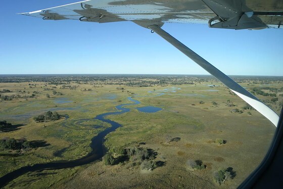 Delta dell'Okavango