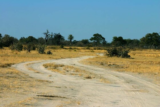 Paesaggio africano
