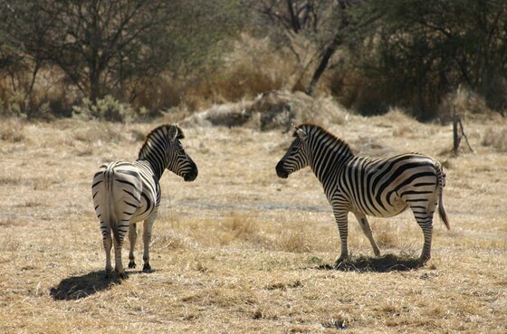 Makgadikgadi Pans National Park