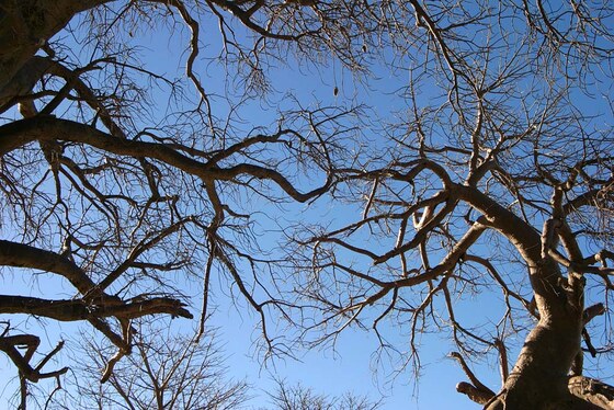 Makgadikgadi Pans National Park