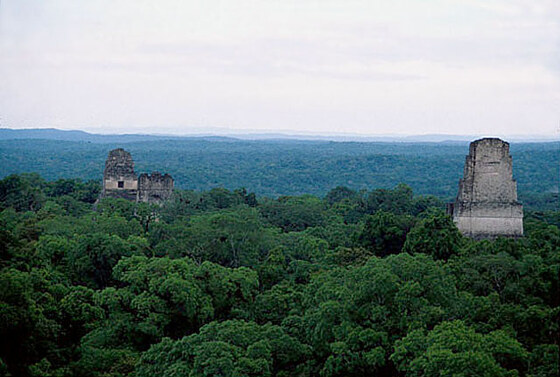 Tikal : veduta dei templi di Tikal