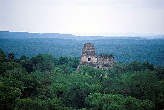 Tikal : veduta dei templi di Tikal