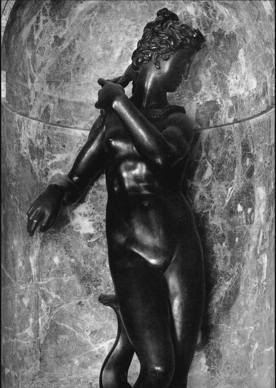 Venere, Danti Vincenzo