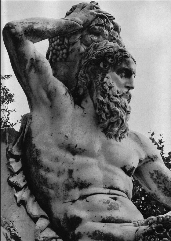L'Arno, Ammannati Bartolomeo