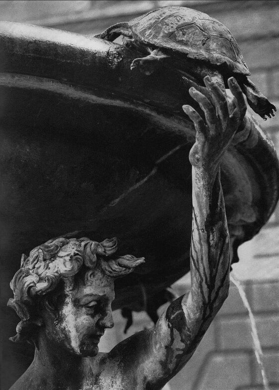Fontana delle tartarughe, Landini Taddeo