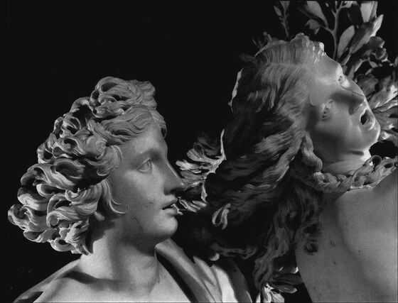 Apollo e Dafne, Bernini Gian Lorenzo
