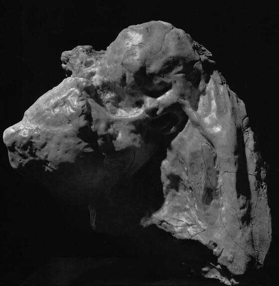 L'età dell'oro, Rosso Medardo