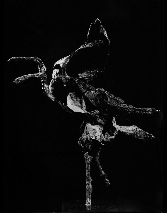 Pegaso, Sassu Aligi