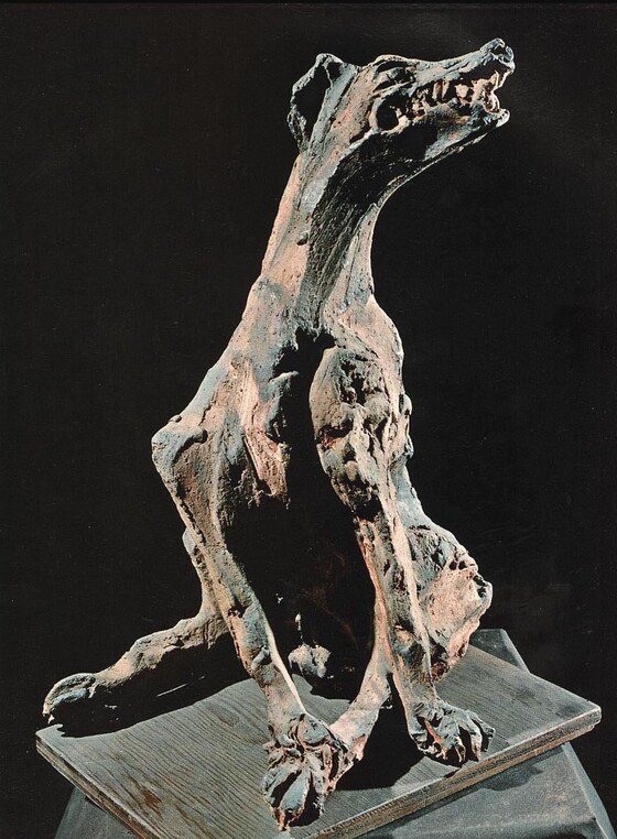 Cane della guerra, Fabbri Agenore