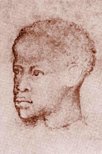 Testa di moro. Parigi, Louvre (Disegno N° 2324).
